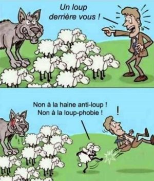 Loup phobie et moutons.jpg